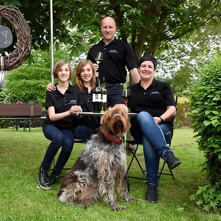 Weingut Weich Отель Riol