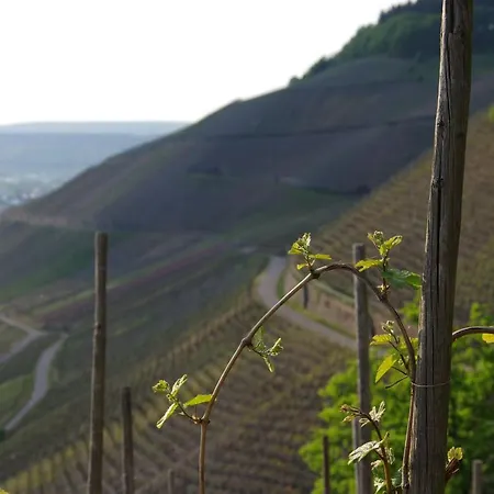 Weingut Weich Riol