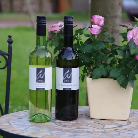 Weingut Weich Отель