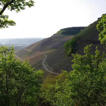 Weingut Weich