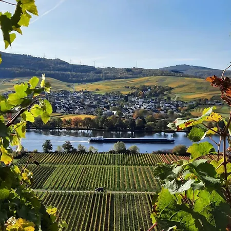 Отель Weingut Weich