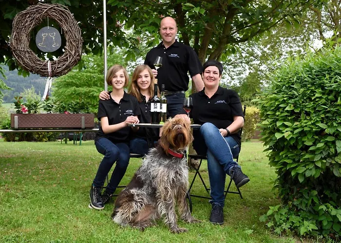 Weingut Weich מלון Riol